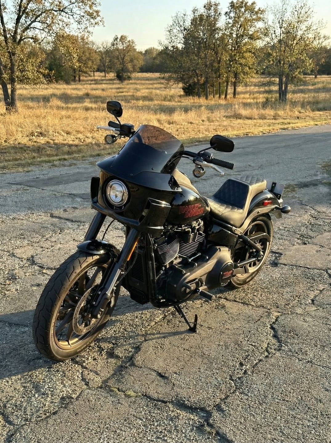 Customer photo review of Viking Darkin Motorcycle Fairing For Harley Softail Low Rider S FXLRS Gloss Black