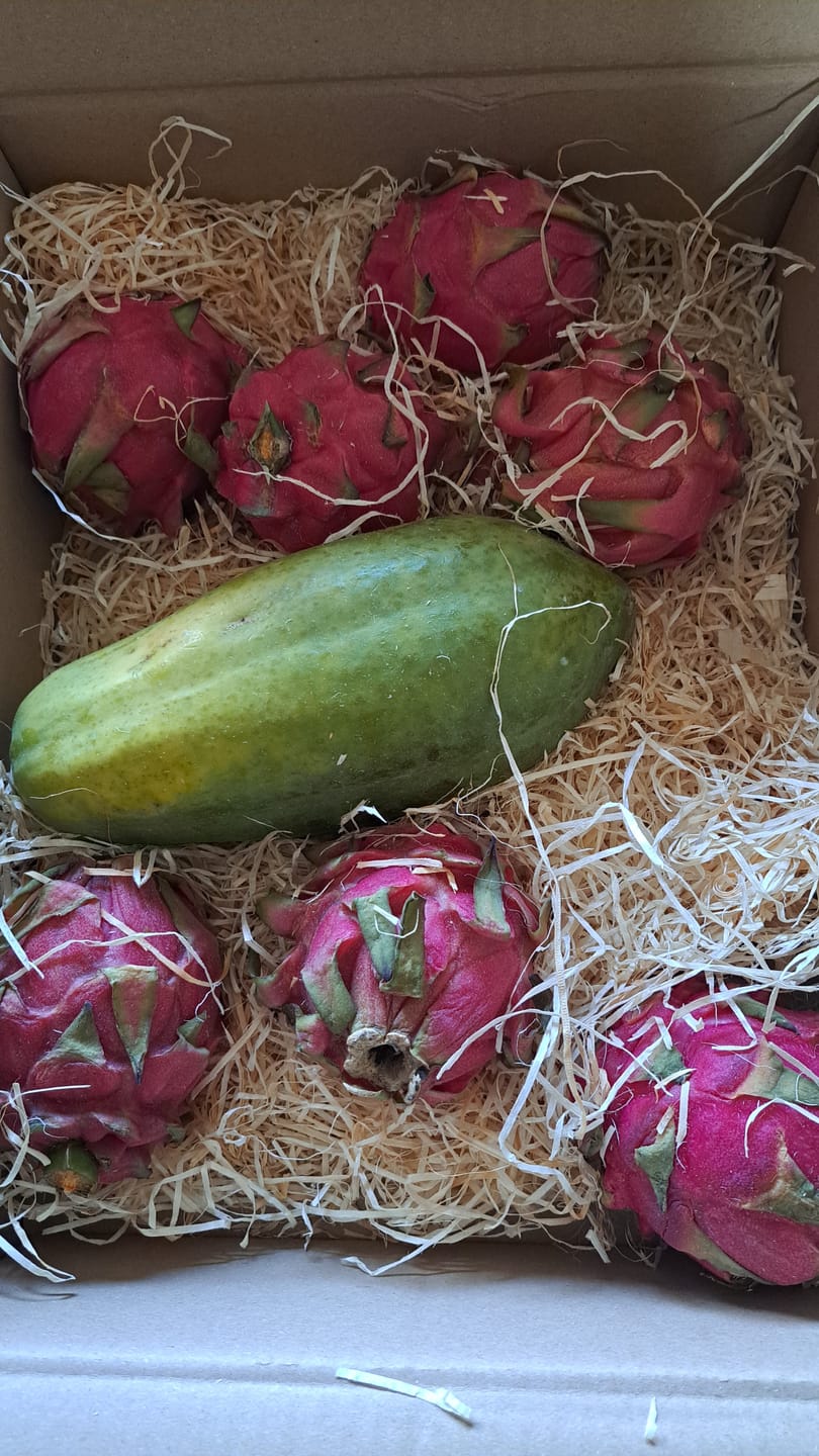Customer photo review of Drachenfrucht rot von Julian Aktionswoche