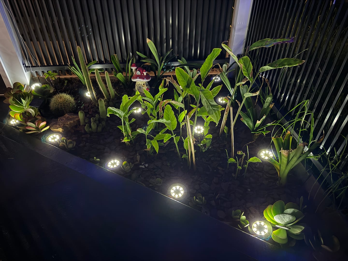 Customer photo review of SolaGarden™ LED Ground Light Pack