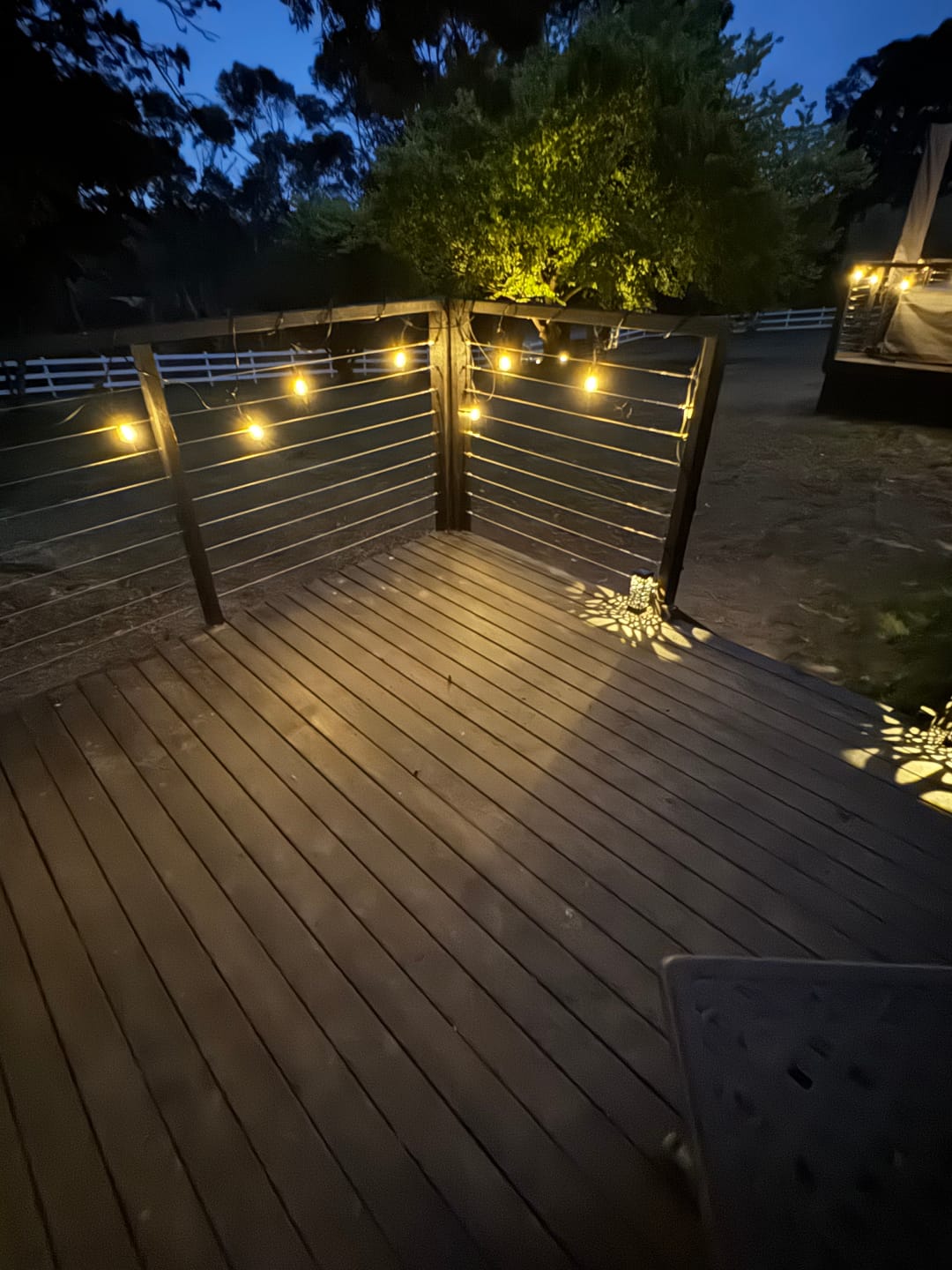 Customer photo review of SolaGarden™ Festoon Lights