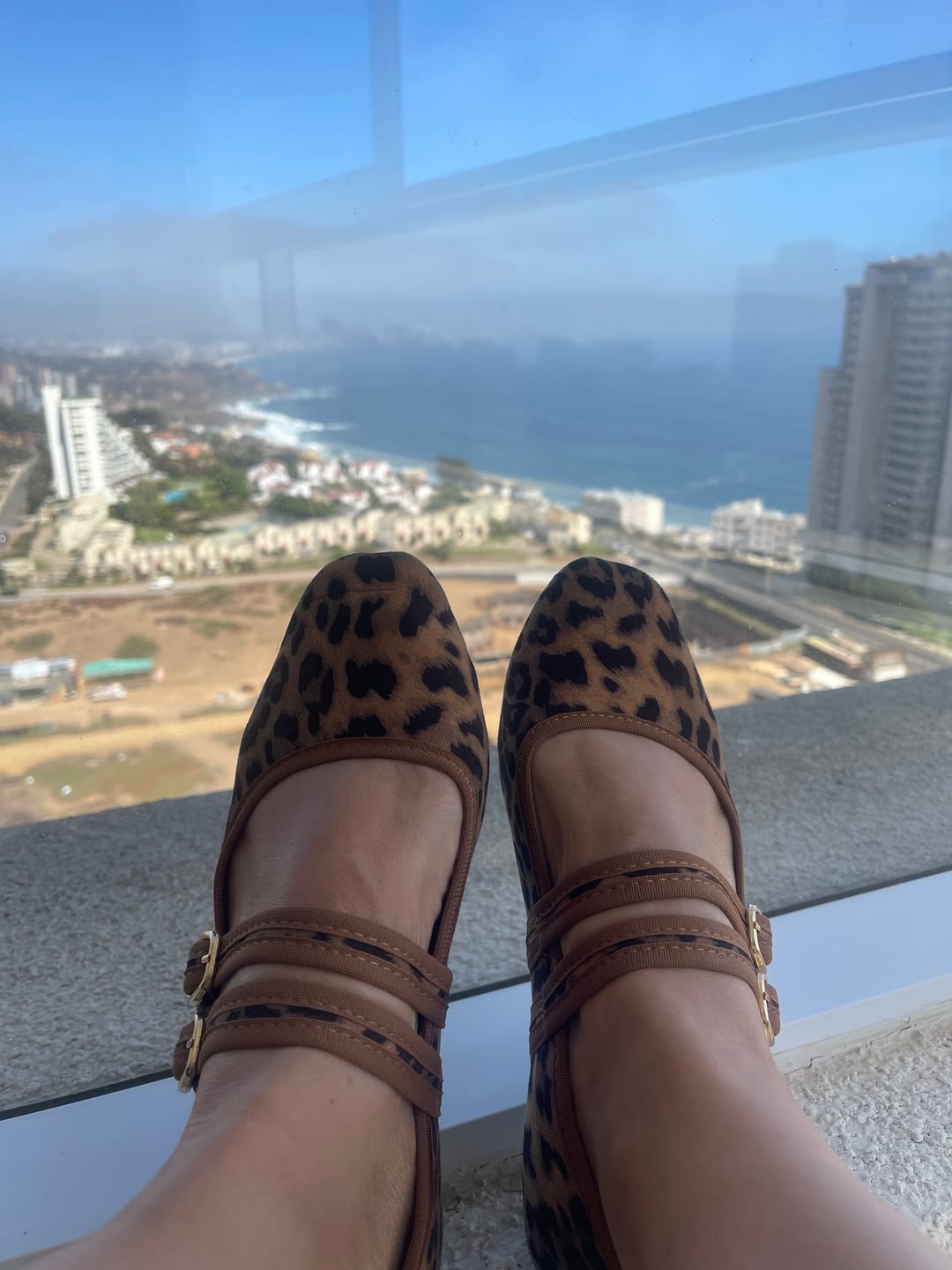 Customer photo review of Zapato Ballerina Animal Print