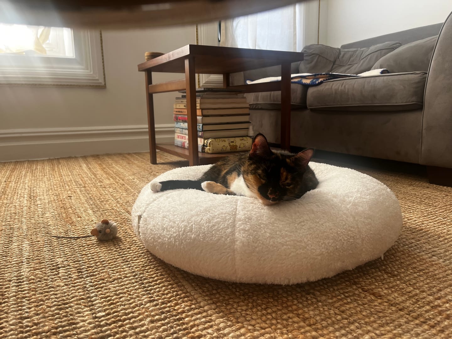 Customer photo review of Marshmallow Pudding Bed