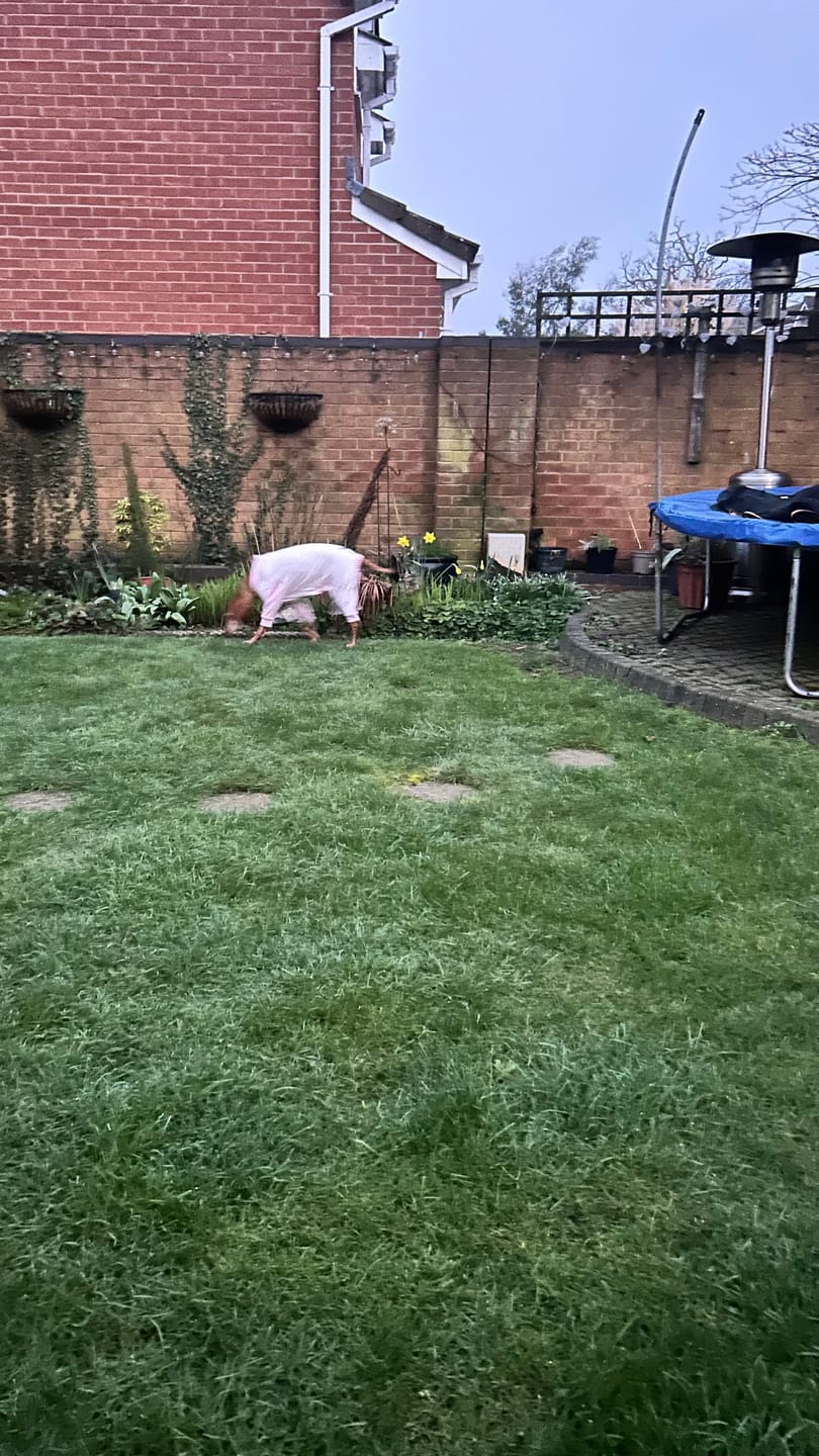 Customer photo review of Dog Pajama - Pink Stripes