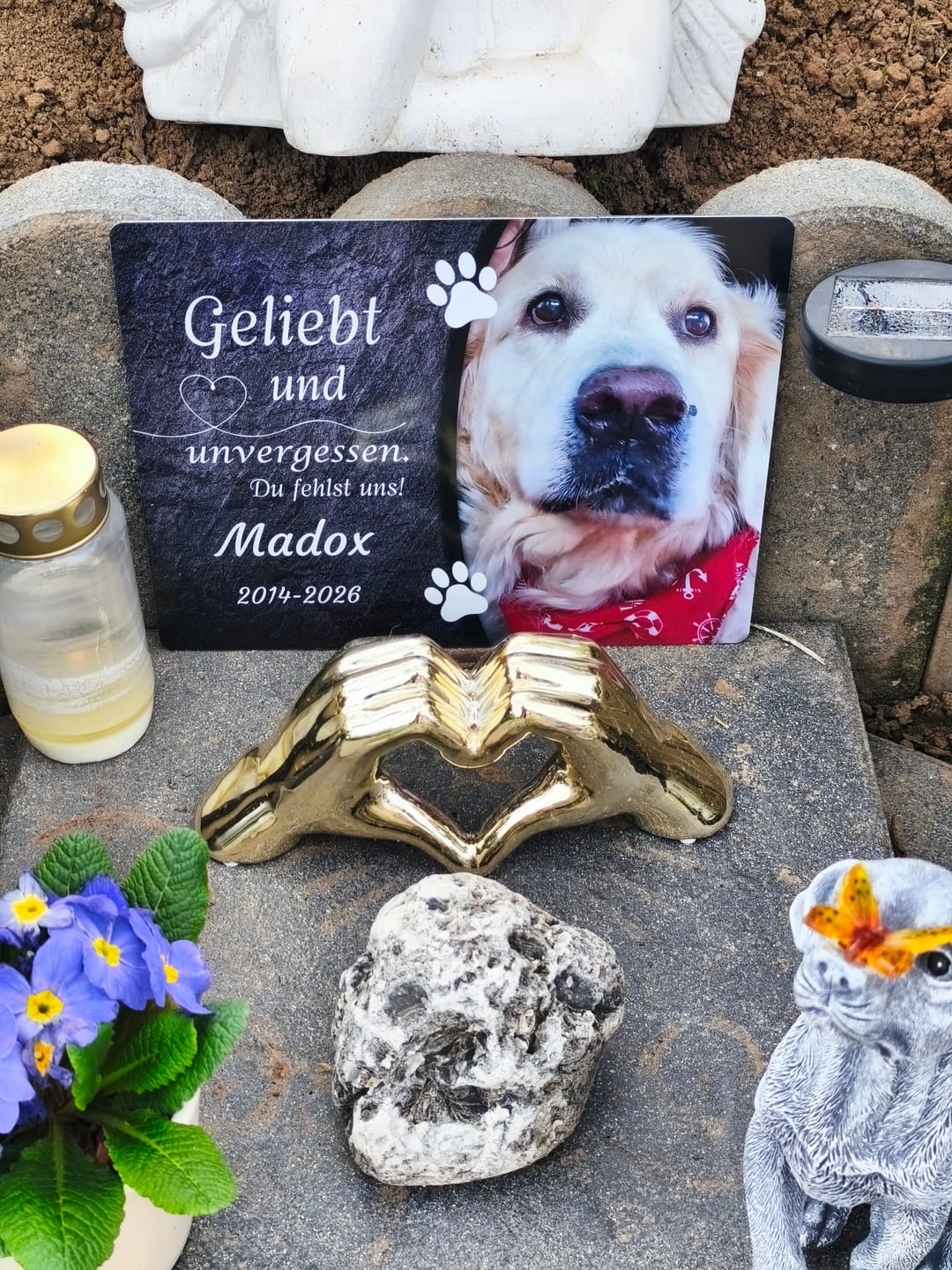 Customer photo review of Hunde Gedenktafel mit Foto & Spruch (UV- & Wetterfest)