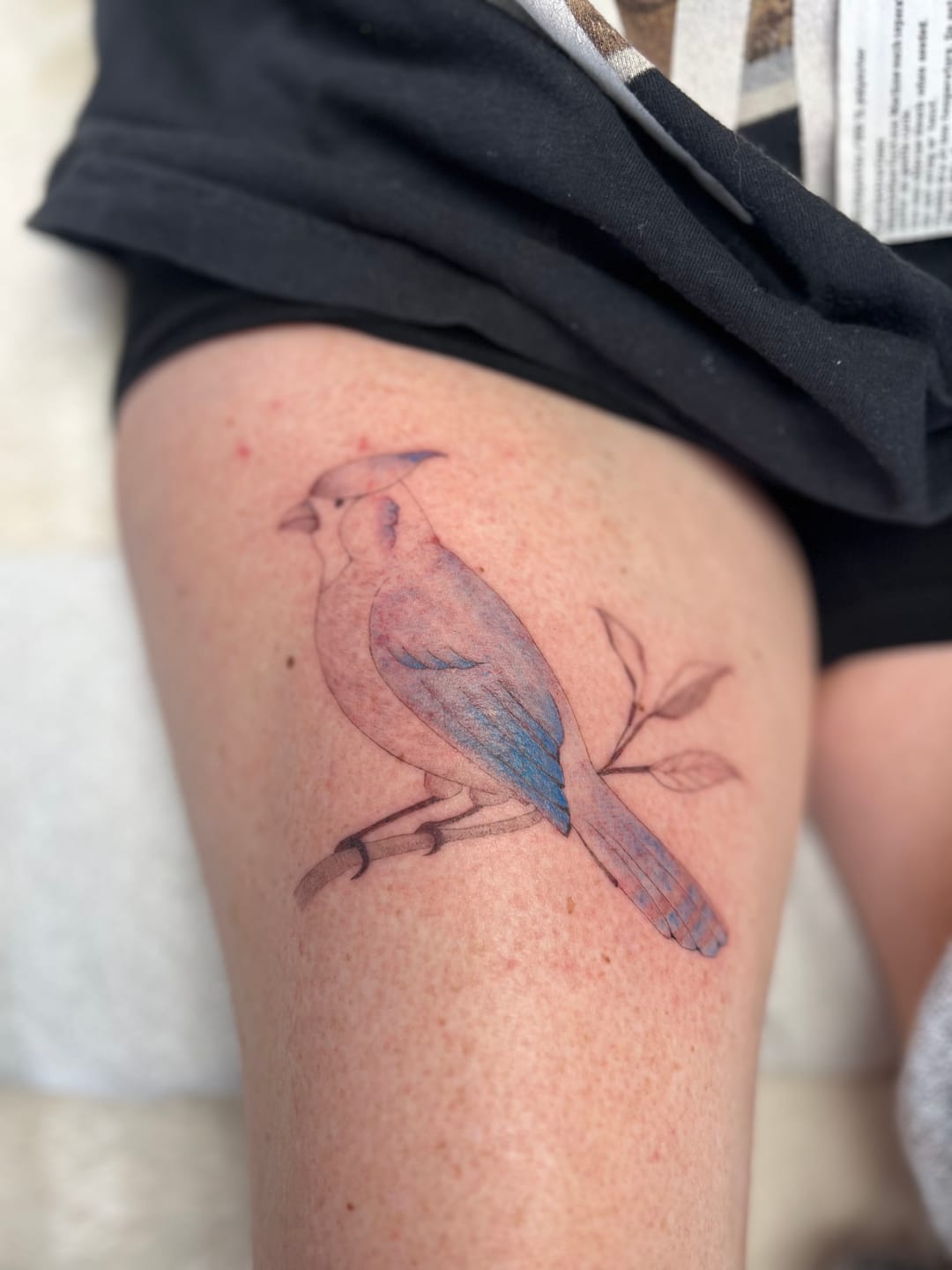 Customer photo review of rEvolution Ink - Classic Blue