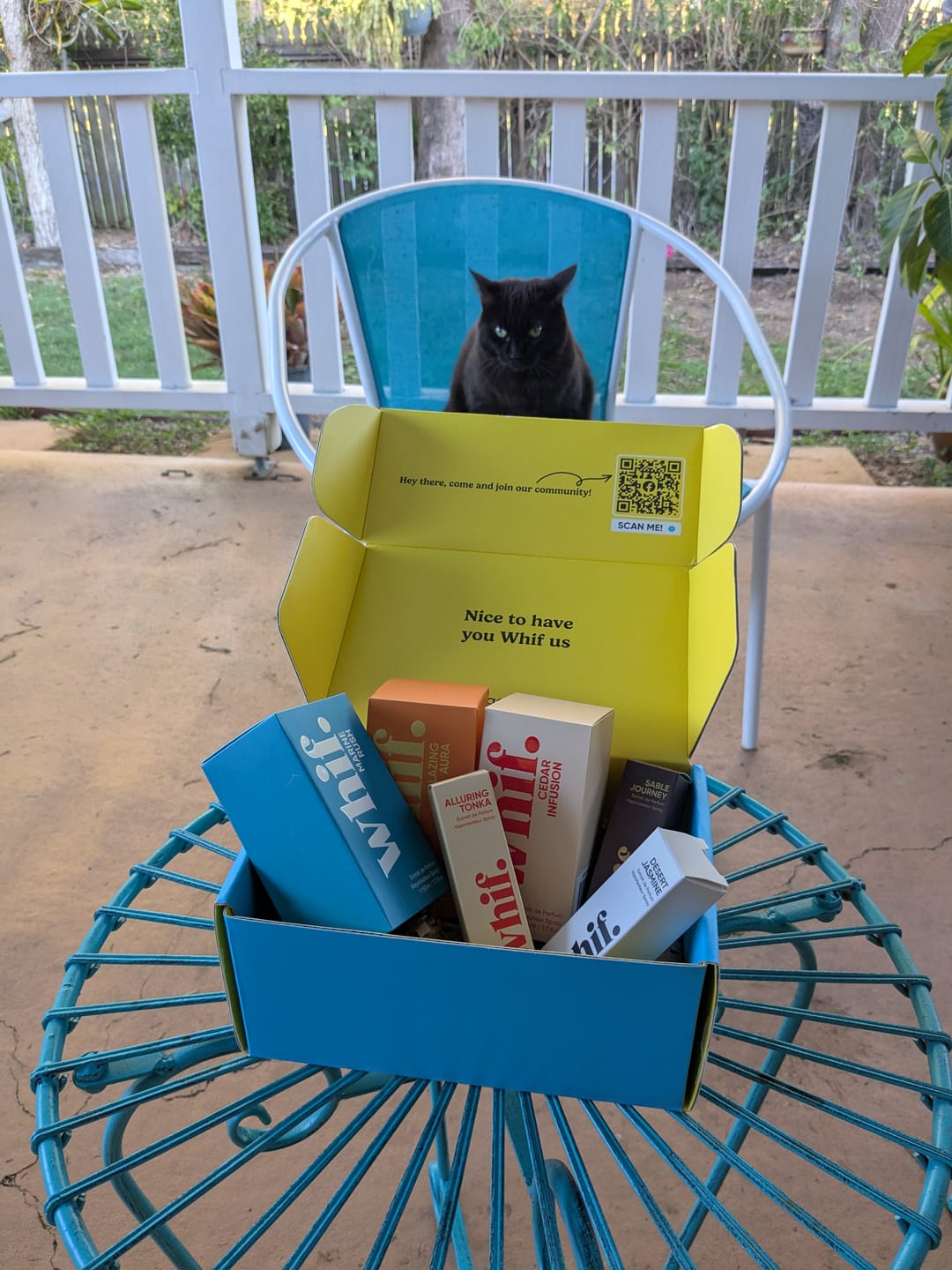 Customer photo review of Sable Journey