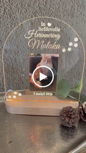 Customer video review of In liefdevolle herinnering hond/kat ledlamp