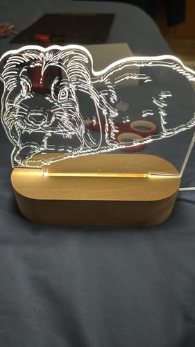Customer photo review of Lampiece Lamp