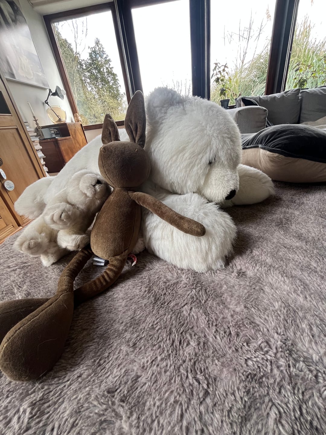 Customer photo review of DANIEL LE LAPIN - M/L