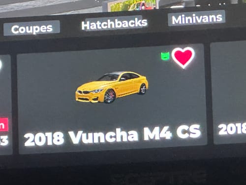 Customer photo review of SILVER VIP
