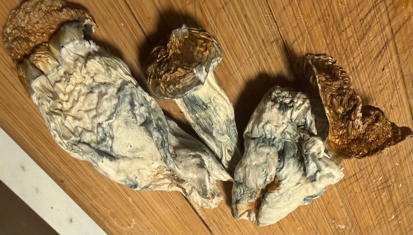 Customer photo review of Non Detect Raw Mushrooms