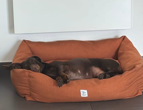 Customer photo review of Divanetto Mattias Caramello (Soft Touch)