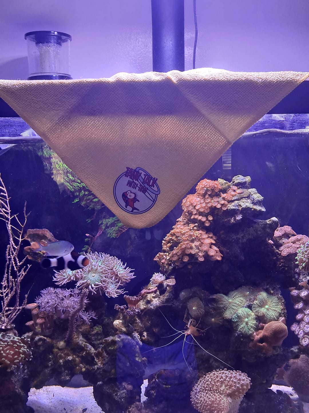 Customer photo review of Official TTWT Microfiber Towel