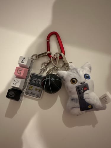 Customer's Evan's Unserious Keyring by Heeseung with its plush cat, keyboard key, and mini-game charms on a red clip.