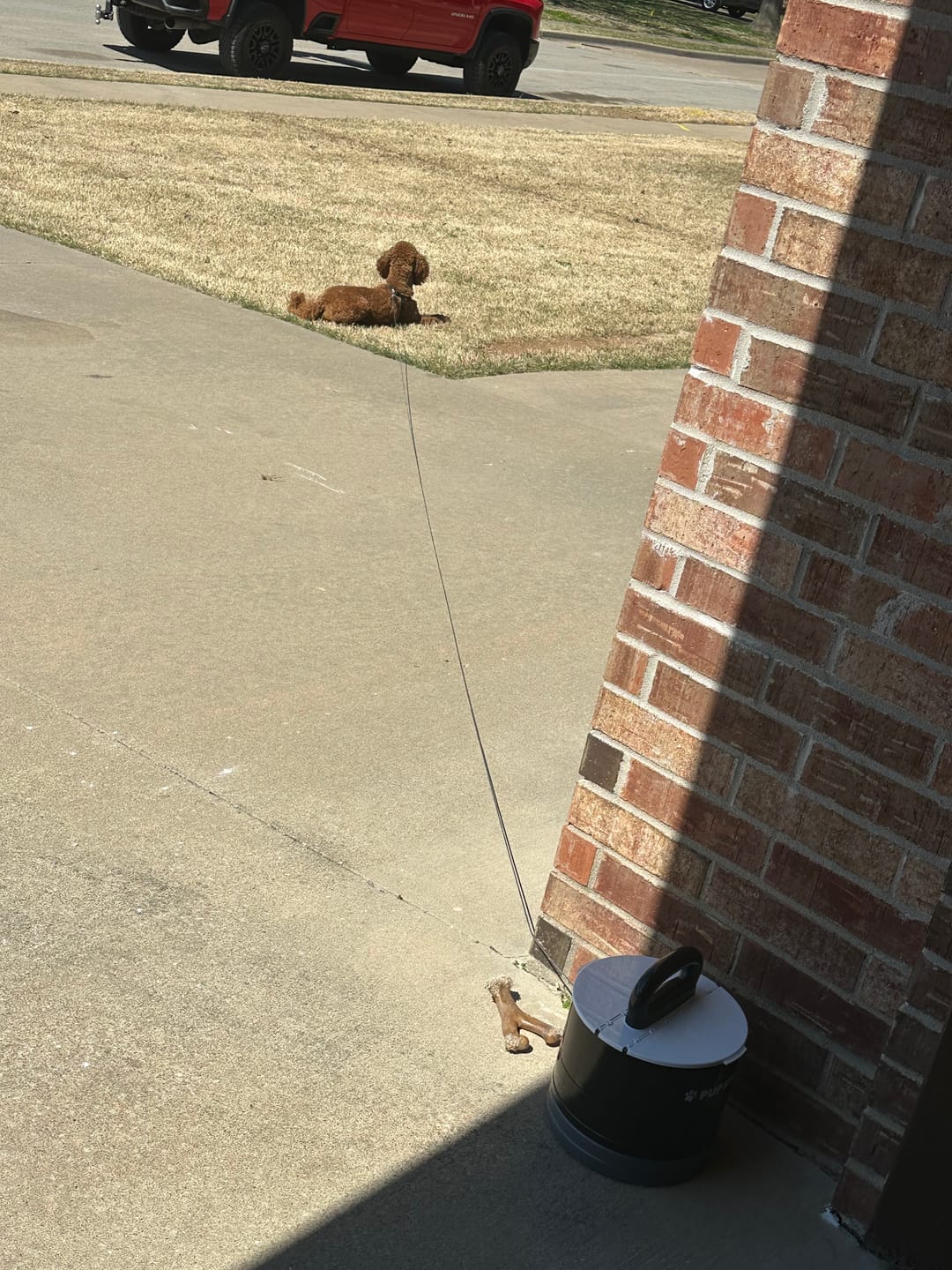 Customer photo review of Pup Stack