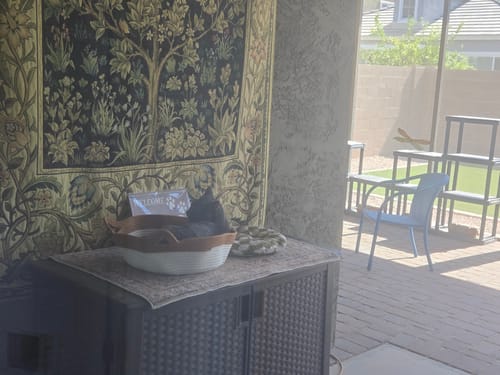 Customer photo review of Instinct Basket | Meet the first research-backed natural territory for indoor cats