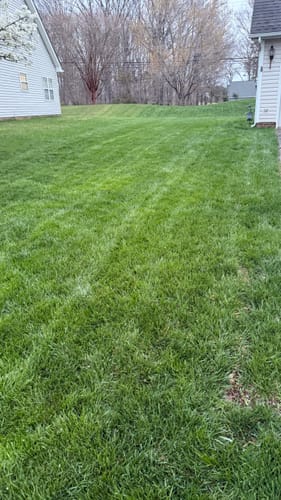 Customer photo review of Cool Season Lawn Care Guide
