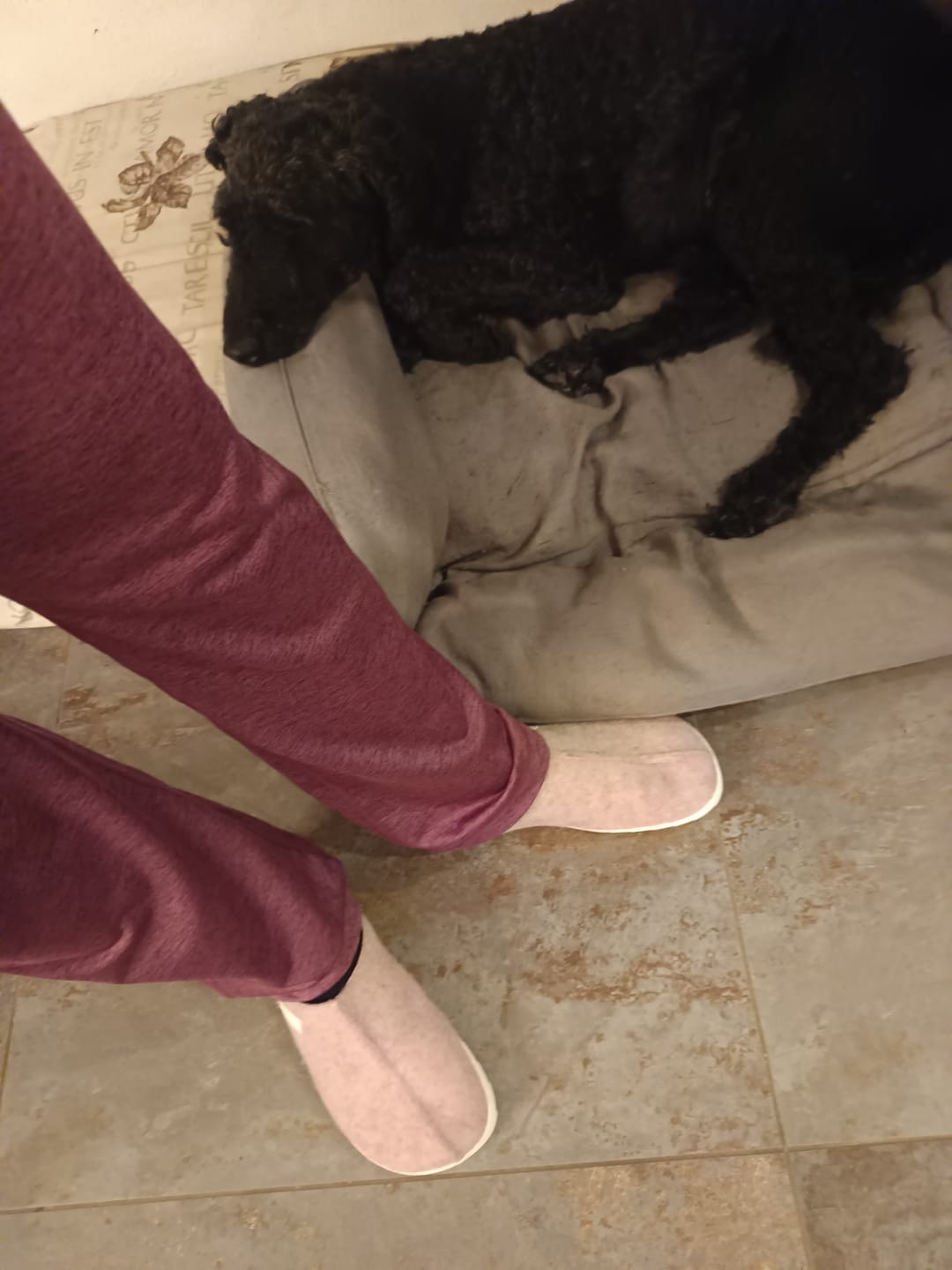 Customer photo review of Vaistoa Toive | Felt Barefoot Slippers