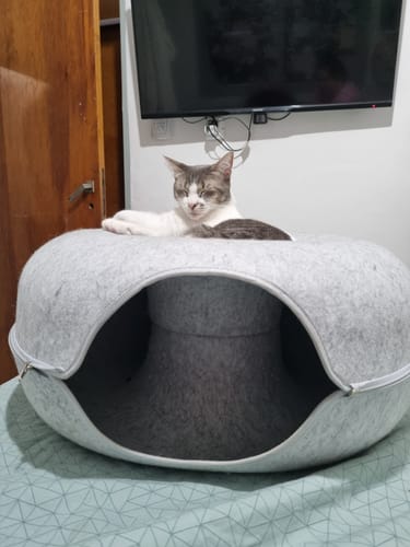 Customer photo review of Cueva Dona