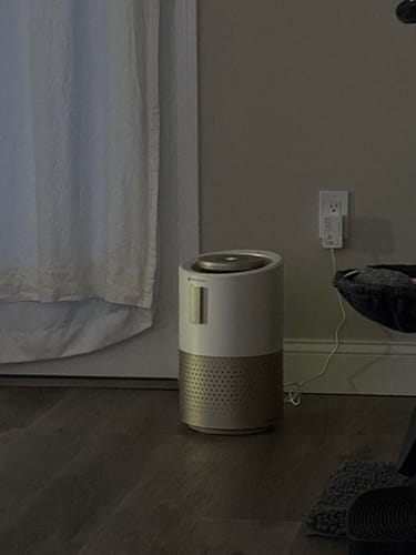 Customer photo review of Pet Air Purifier