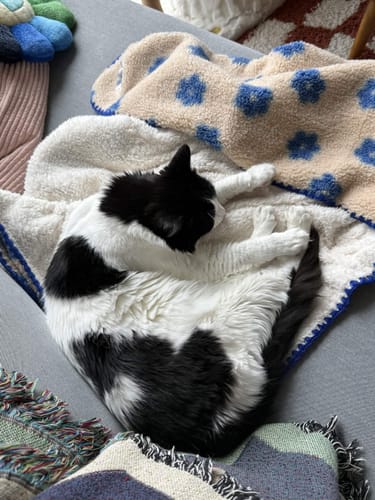 Customer photo review of Little Summer Blanket