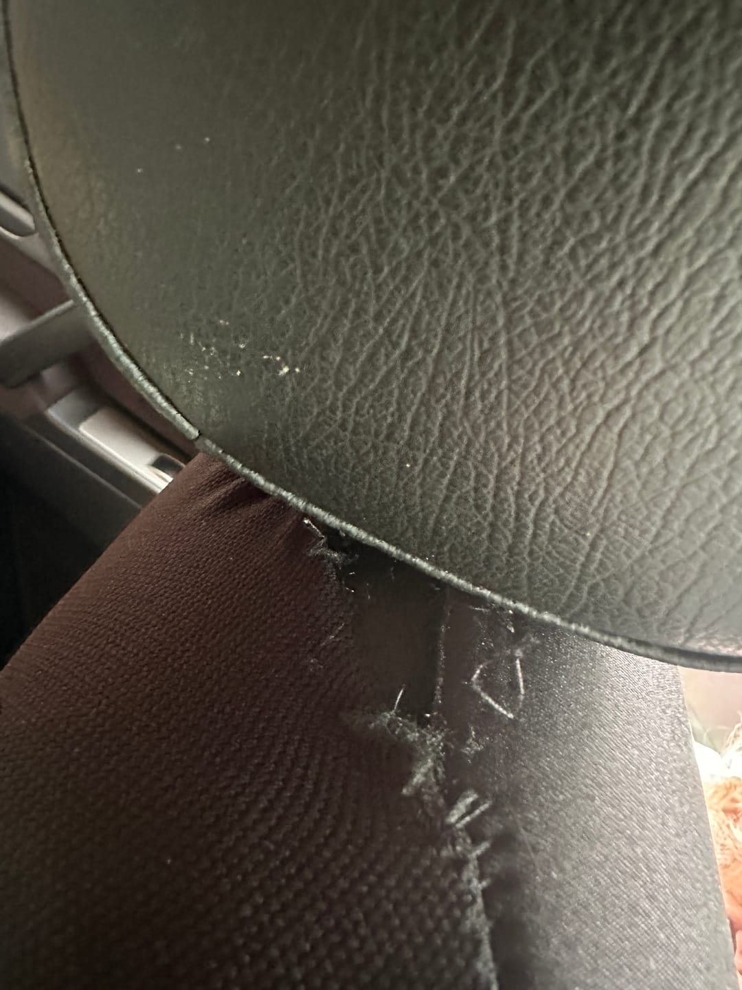 Customer photo review of Sharkskin Ocean Scent Car Air Freshener – Long-Lasting Freshness for Your Ride