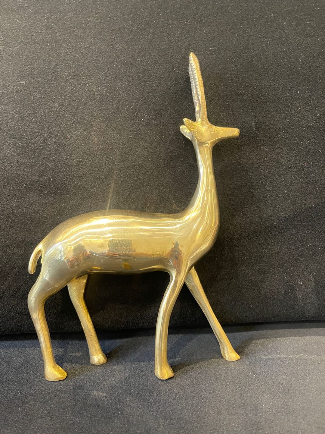 Customer photo review of Handcrafted Brass Deer Idol Vastu Remedy for Stability, Stamina and Energy Balance for WNW Zone, Home and Office Placement | 12 x 22 cm | 820 gm