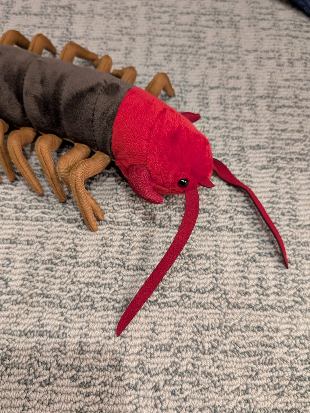 Customer photo review of Chinese Red-Headed Centipede Stuffed Plush Toy