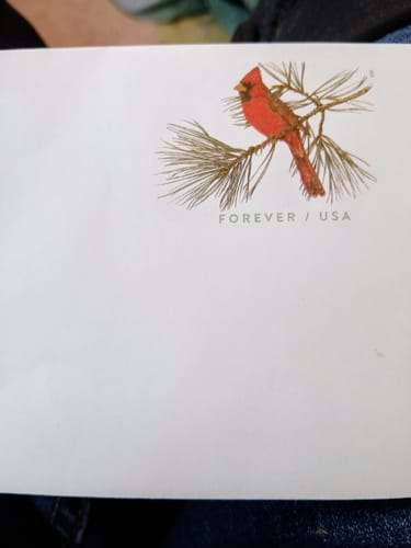 Customer image submitted for Tro Zzz review, showing an envelope with a cardinal stamp.