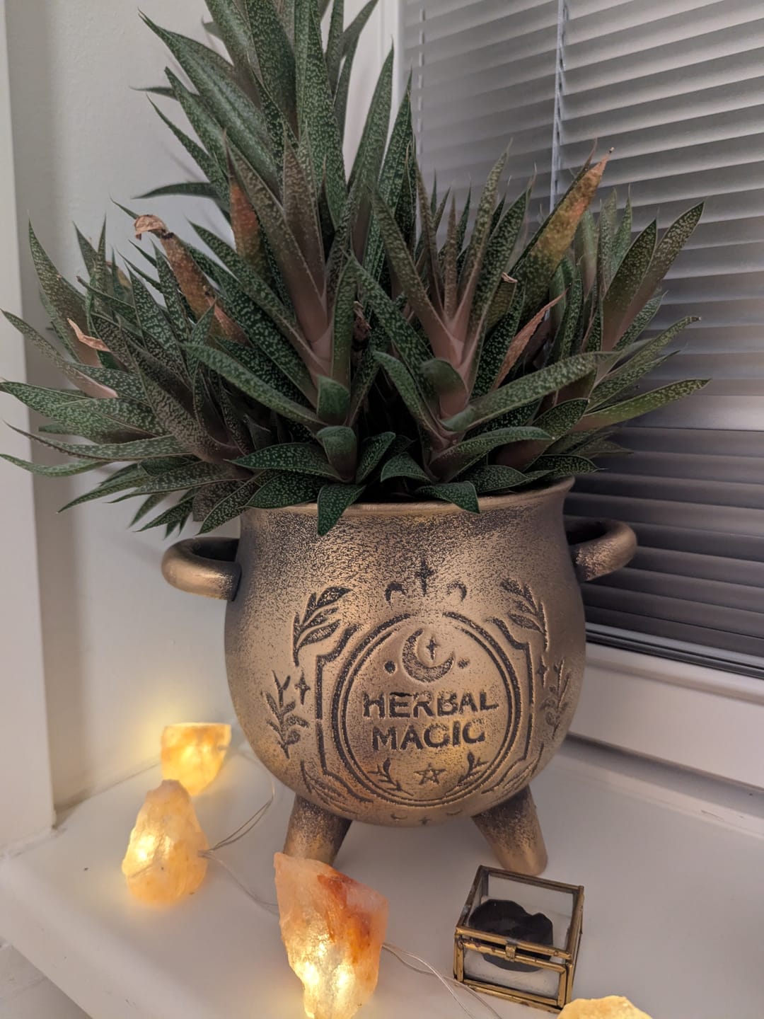 Customer photo review of Herbal Magic Kessel-Blumentopf – Terrakotta Pflanzenkessel in Bronzeoptik