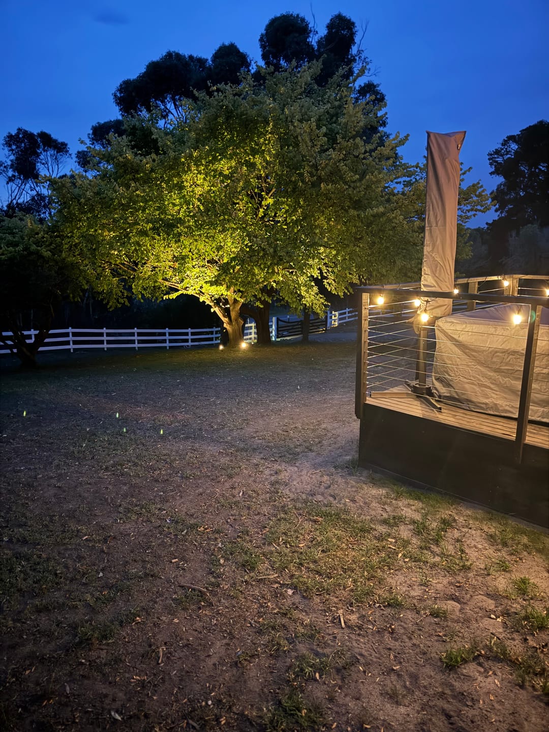 Customer photo review of SolaGarden™ Spot Light Pack