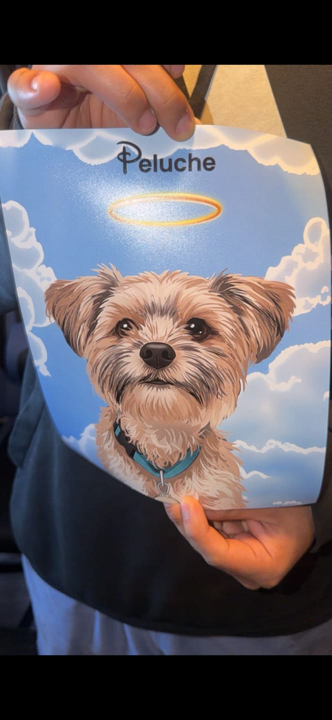 Customer photo review of Cartoon 1 Pet Portrait