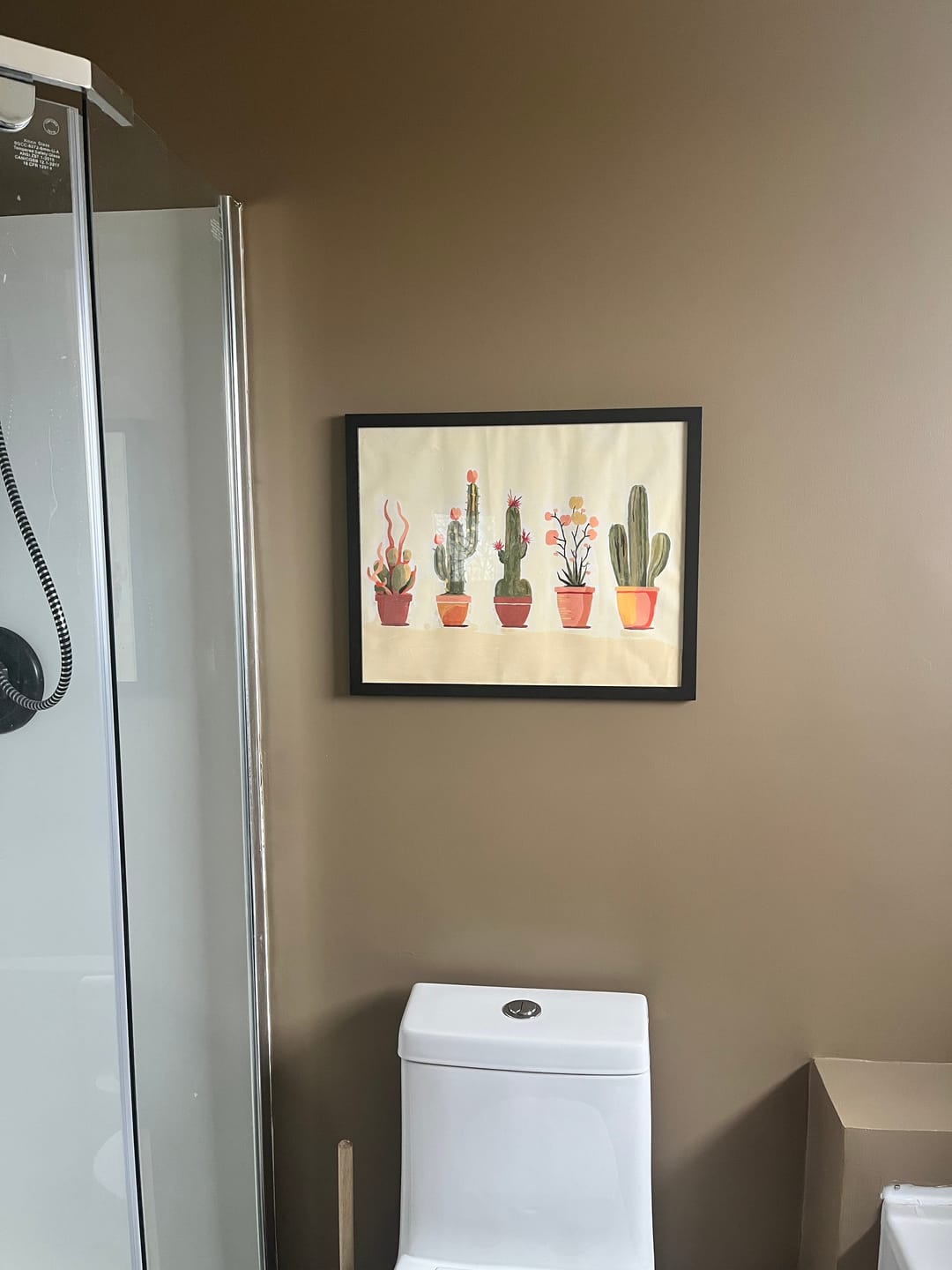 Customer photo review of Minimalist Cactus