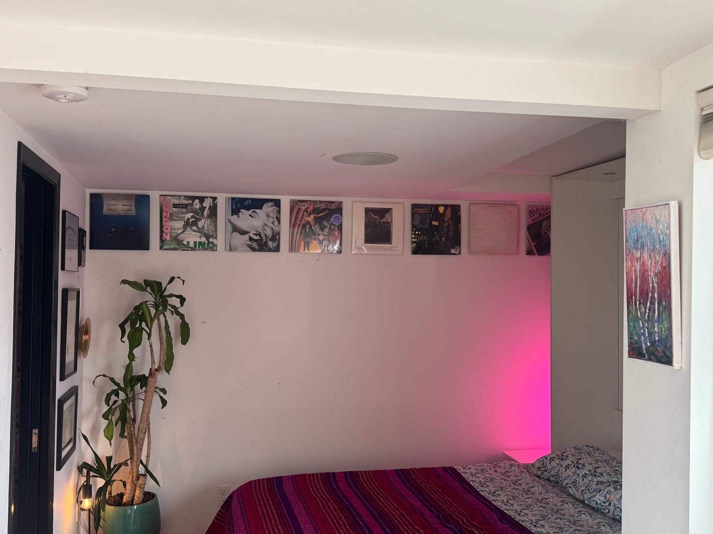 Customer photo review of Twelve Inch Original