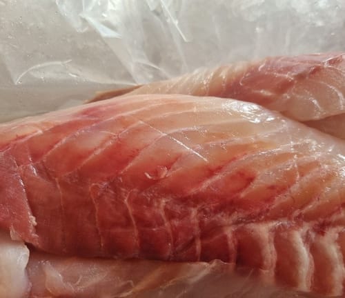 Customer photo review of Fresh Hapuka Groper Fillets (Skinless & Boneless)