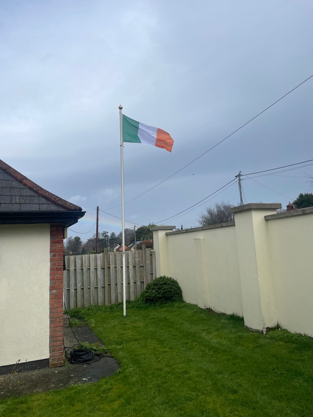 Customer photo review of Ireland National Flag
