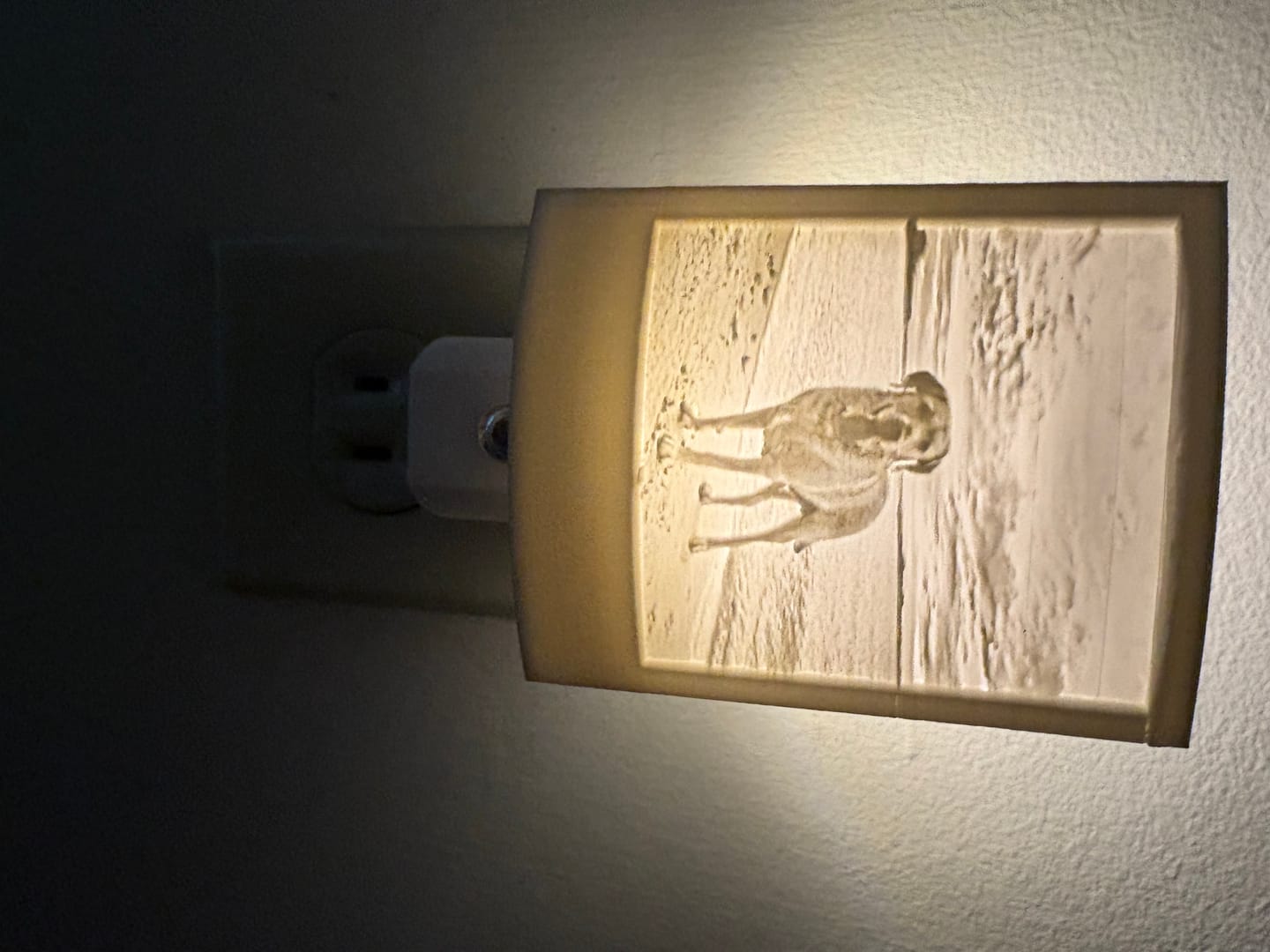 Customer photo review of Memory Frame™ Personalized Night Light