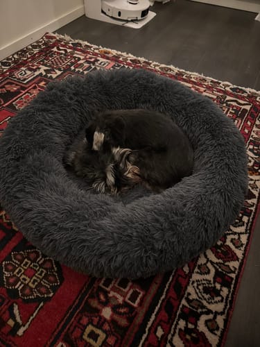 Customer photo review of CalmBed - Motverkar stress & hjälper mot ångest