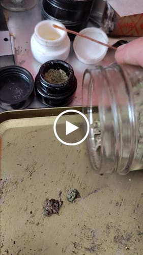 Customer video review of OG Kush Smalls