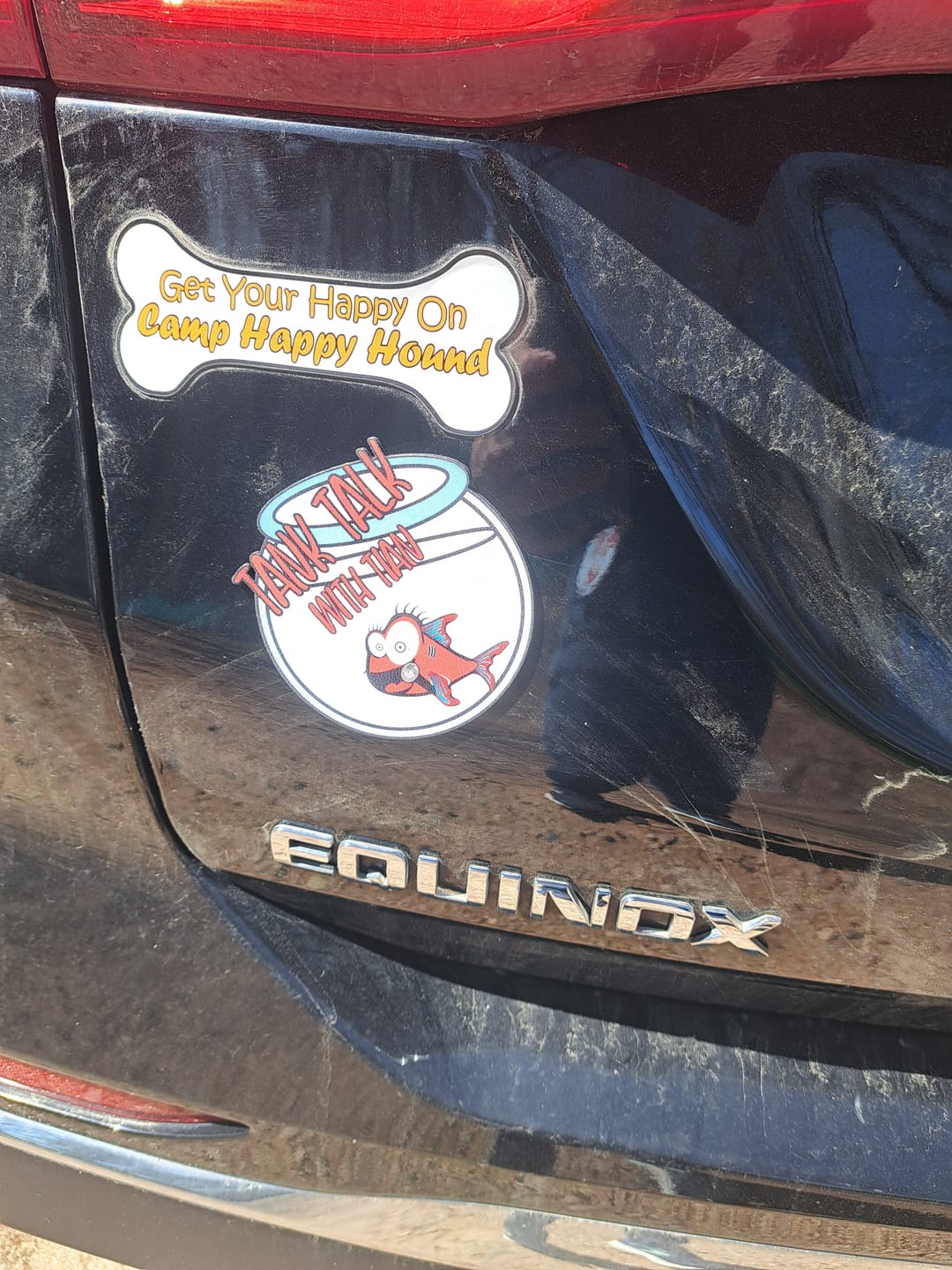 Customer photo review of Magnet Size
