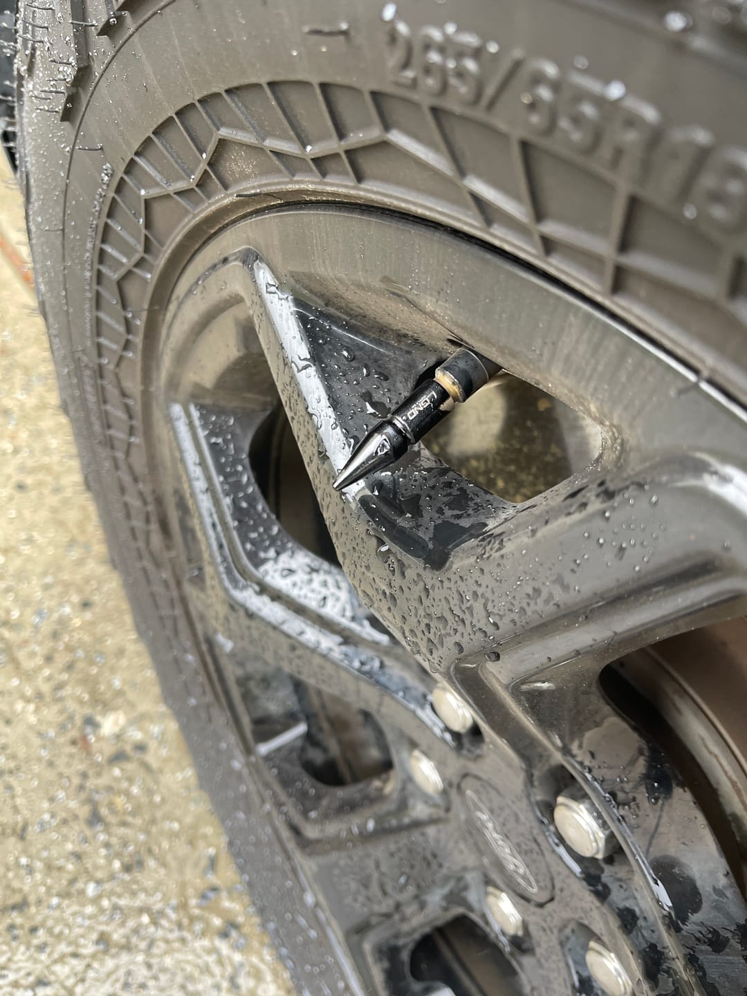 Customer photo review of Spiked Valve Stem Caps