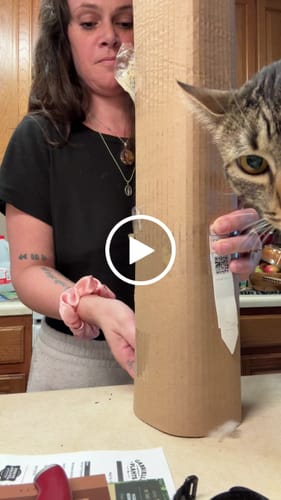 Customer video review of Winter Protection Insurance