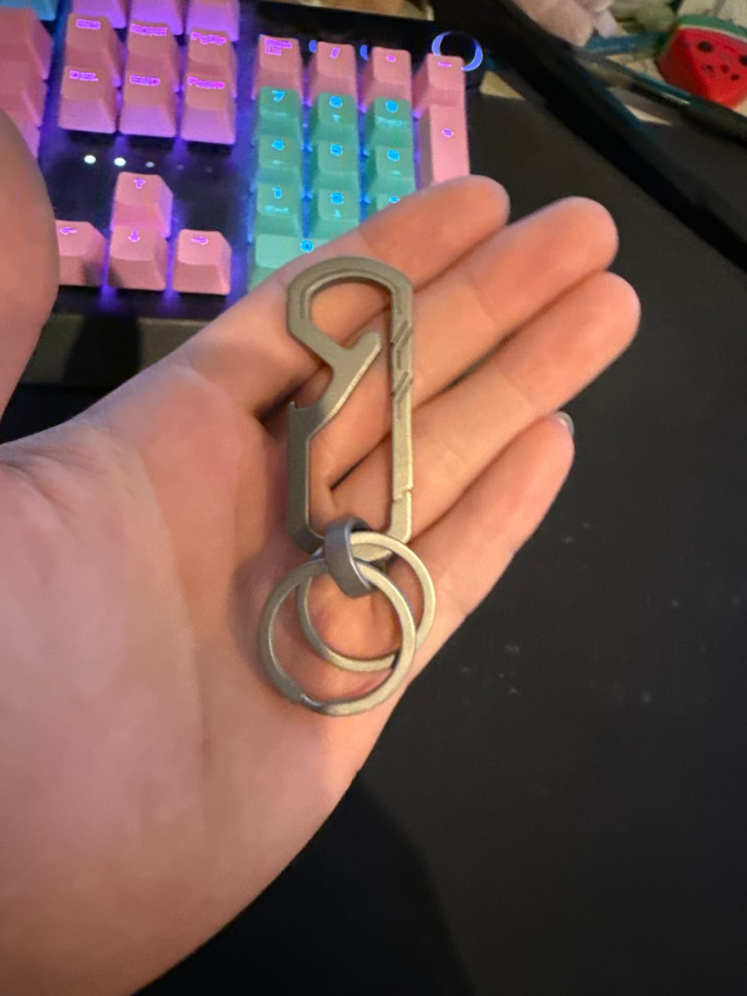 Customer photo review of 80Eighty® Titanium Keychain Clip