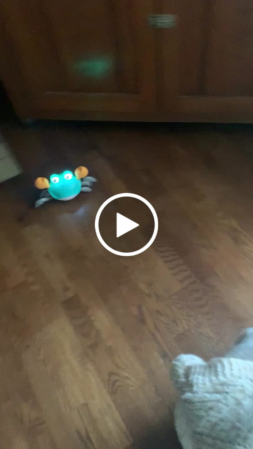 Customer video review of The Crawly Crab™