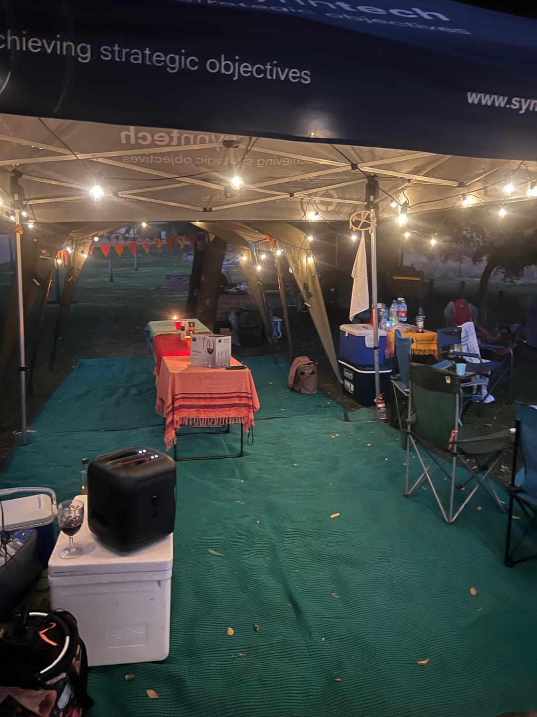 Customer photo review of Solar Mini Bulb String Lights