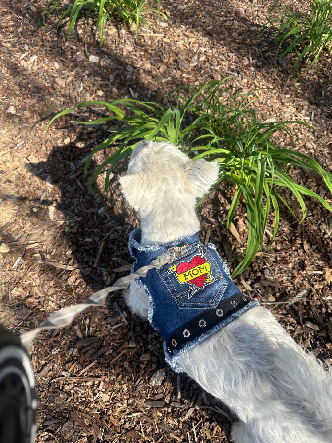 Customer photo review of LOVE MOM Harness