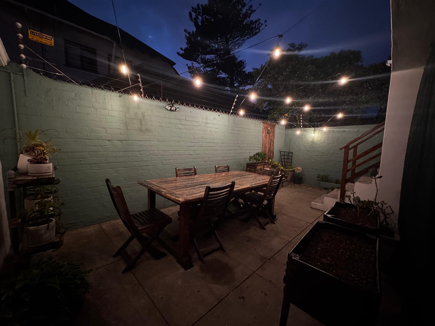 Customer photo review of Plug-In Festoon Bulb String Lights