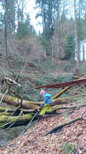 Kunde zeigt ein Kind bei einer Entdeckungstour im Wald, dem Schauplatz der Rezension des Abenteuer-Mikroskops.