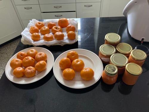 Rezensent zeigt die frischen Bio-Mandarinen 'Tardivo di Ciaculli' auf Tellern und als Marmelade in Gläsern.