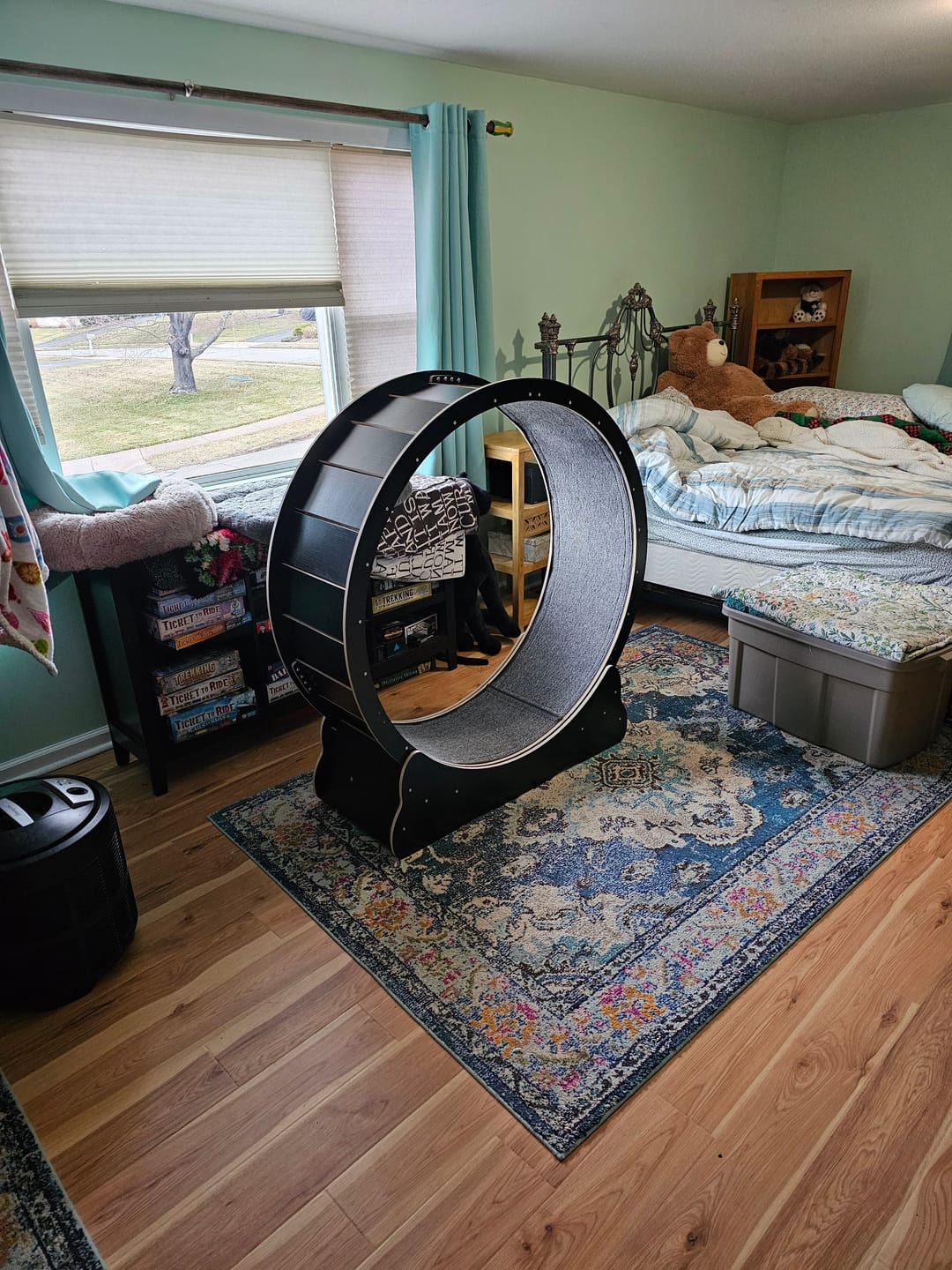 Customer photo review of Nordic Beast Cat Wheel — Built for Large, High Energy Indoor Cats